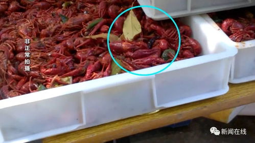 深夜加工的小龍蝦調料 小區食品加工點背后的隱患